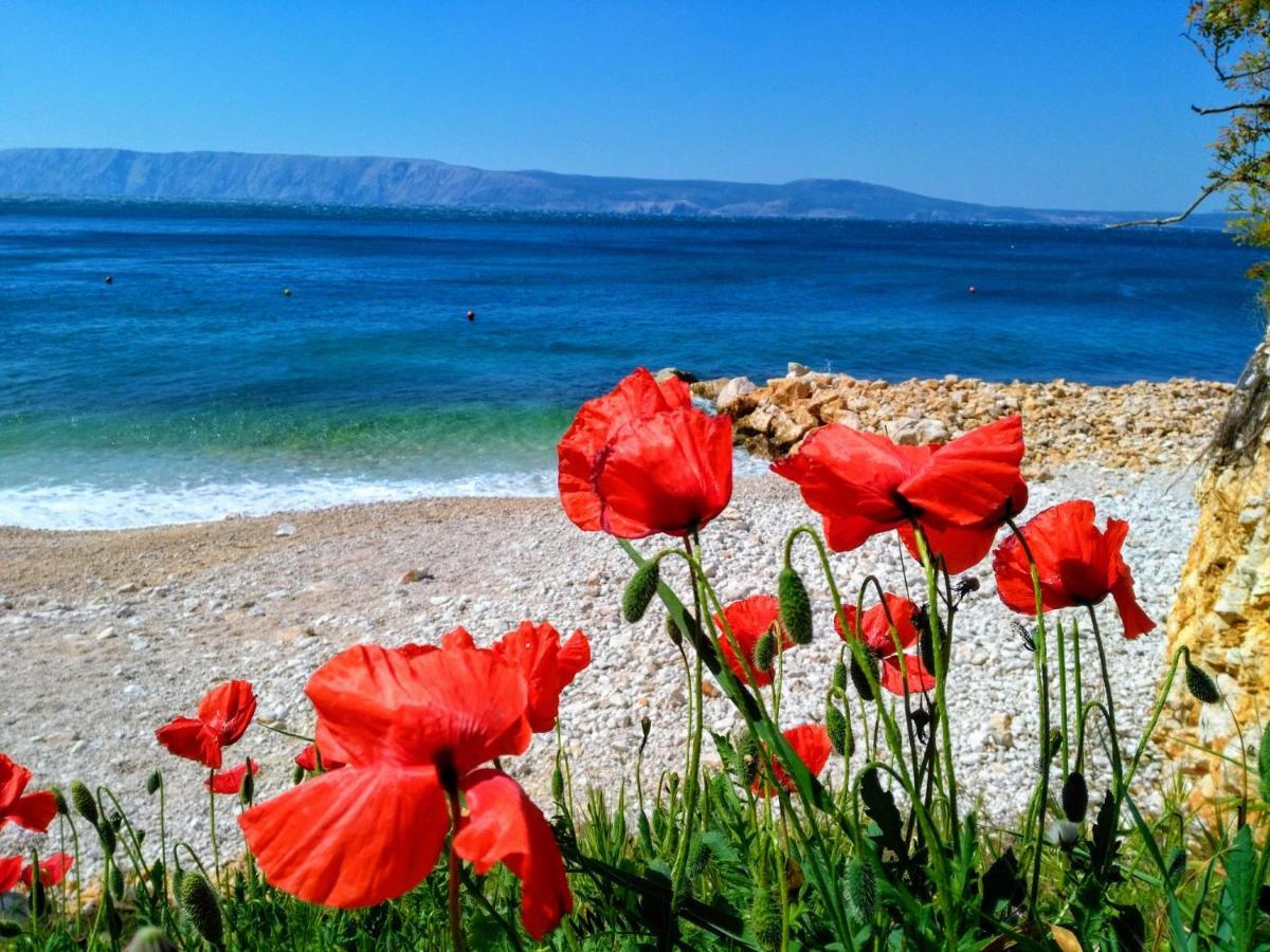 נובי ווינודולסקי Loft-Beach-Apartments Ratko מראה חיצוני תמונה