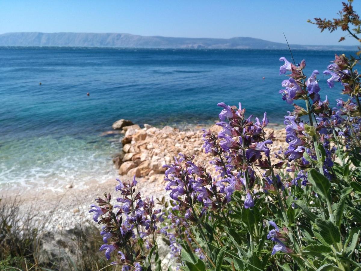 נובי ווינודולסקי Loft-Beach-Apartments Ratko מראה חיצוני תמונה